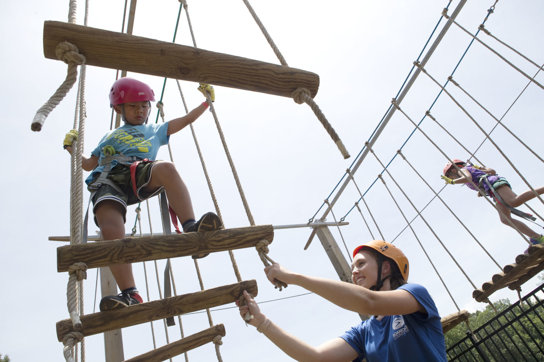 Treetop Quest
